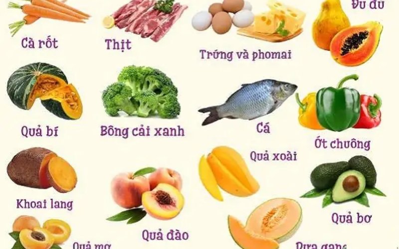 Bé 6 tháng cần thực đơn phong phú đủ dưỡng chất